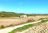 Terreno no urbanizable en venta en la España, Muro, ref: TR361084 foto