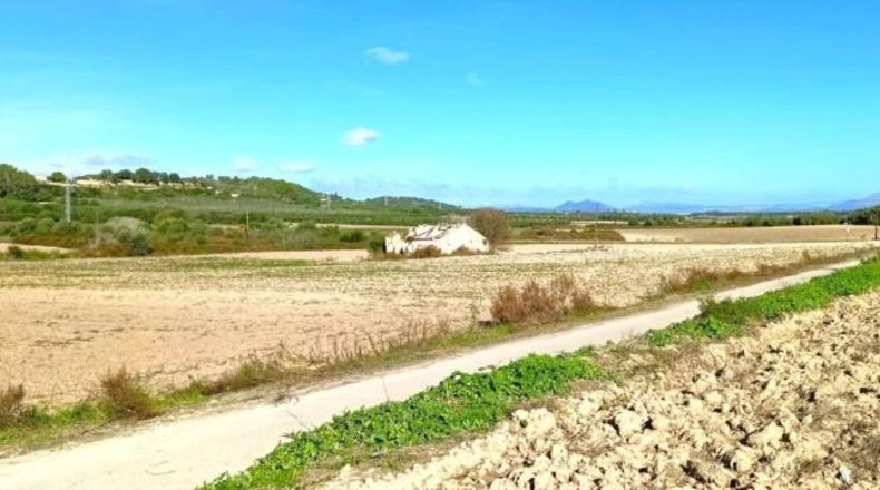 Illes Balears - Muro - 15800m2