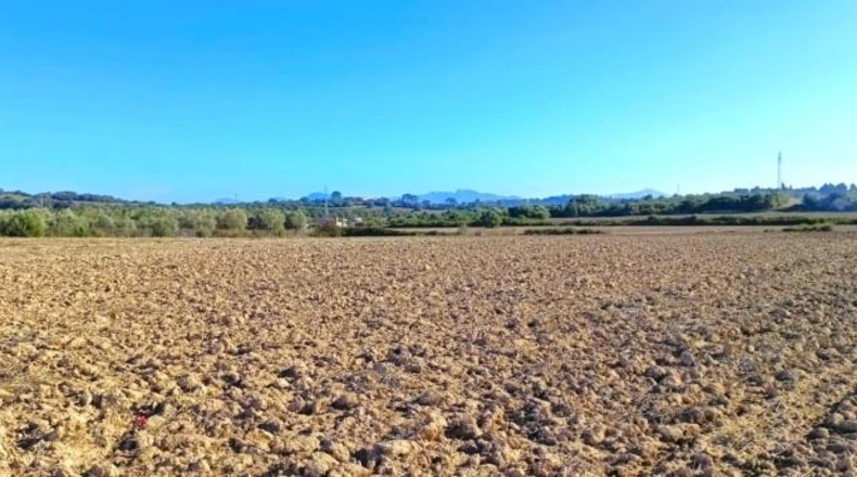 Illes Balears - Muro - 15800m2
