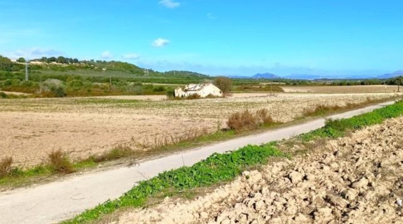 Illes Balears - Muro - 15800m2