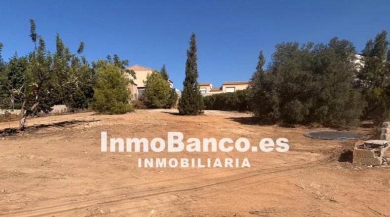 Valencia - Chiva - 1155m2