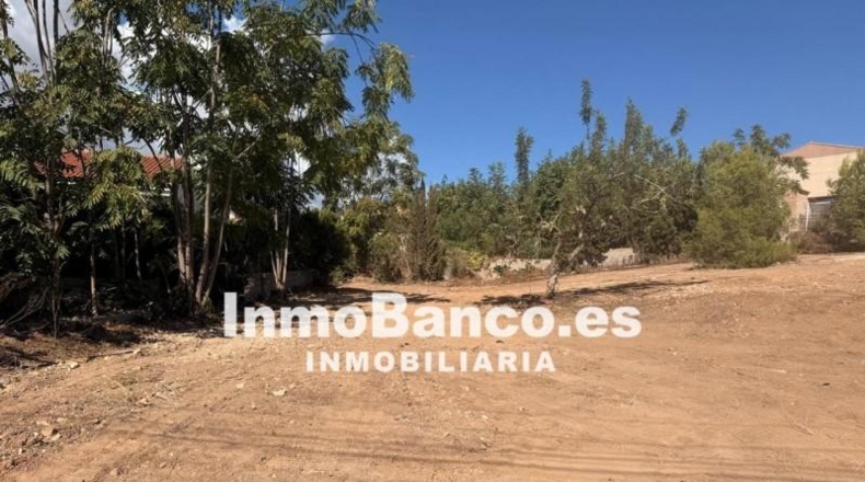 Valencia - Chiva - 1155m2