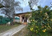 Detached villa with land for sale on España, Vilanova i la Geltrú, ref: TR366850 photo