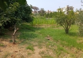 Country house with land for sale on España, Cascante, ref: TR367516 photo