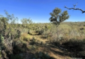 Terreno no urbanizable en venta en la España, Berrocal, ref: TR347750 foto