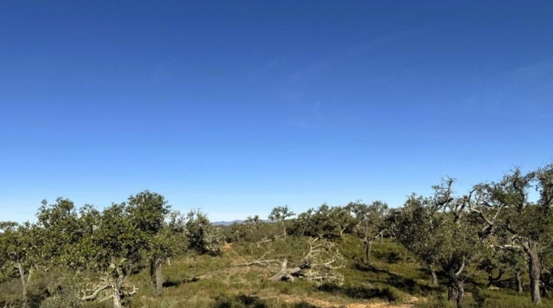 Segovia - Беррокаль - 128985m2