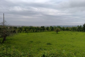Gijón 1571&nbsp;m²