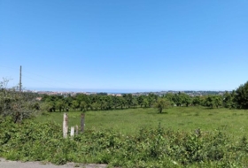 Gijón 1571&nbsp;m²
