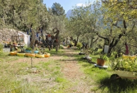 Sóller 9087&nbsp;m² 