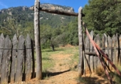 Xalet independent amb terreny en venda a la España, Sóller, ref.: TR412353 foto