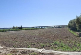 Orihuela 14584&nbsp;m²