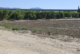 Orihuela 14584&nbsp;m²