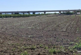 Orihuela 14584&nbsp;m²