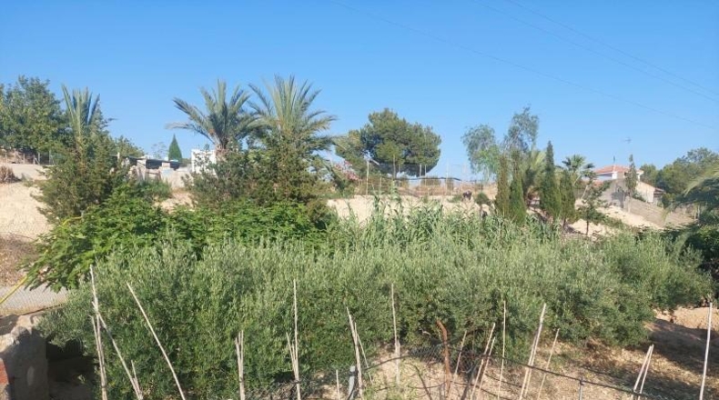 Alicante - Crevillent - 150m2