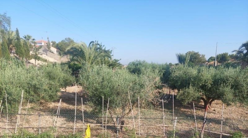 Alicante - Crevillent - 150m2