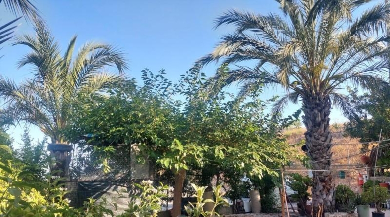 Alicante - Crevillent - 150m2