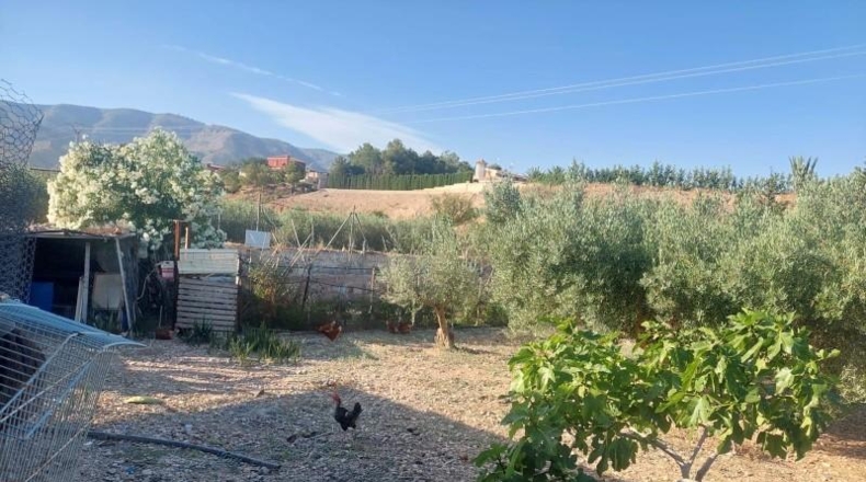 Alicante - Crevillent - 150m2