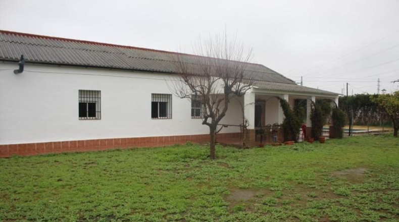 Córdoba - Córdoba - 1500m2
