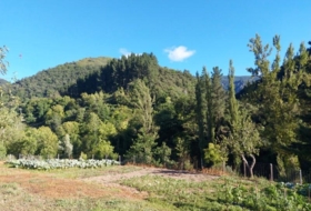Foto 11