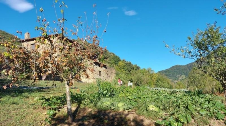 Cantabria - Pesaguero - 1316m2