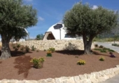 Detached villa with land for sale on España, Pinoso, ref: TR146071 photo