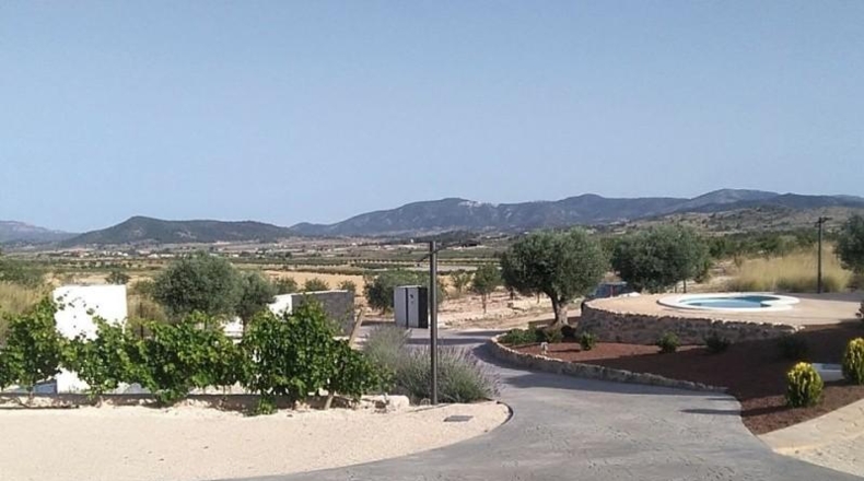 Alicante - Pinoso - 10000m2