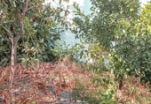 Village house for sale on España, El Burgo, ref: TR303293 photo