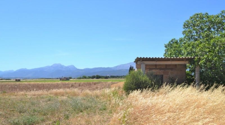 Islas Baleares - Muro - 17915m2