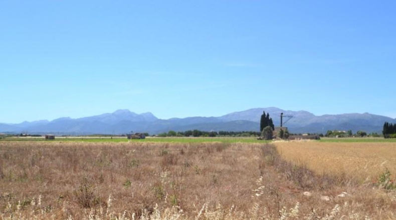 Islas Baleares - Muro - 17915m2