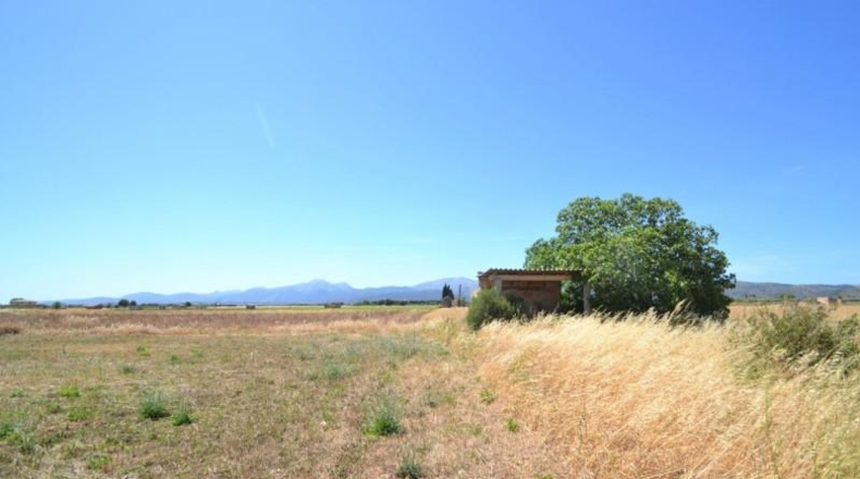 Islas Baleares - Muro - 17915m2