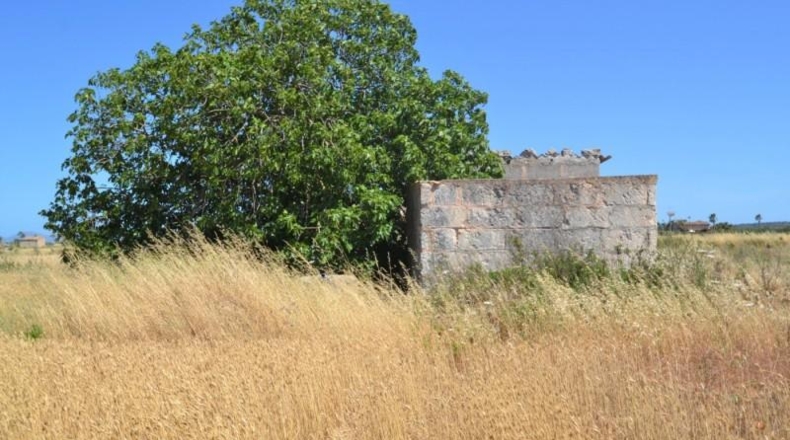 Islas Baleares - Muro - 17915m2