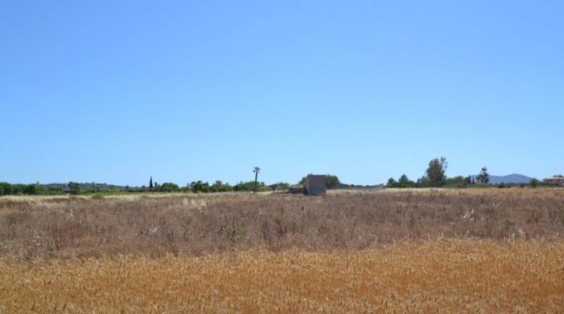 Islas Baleares - Muro - 17915m2