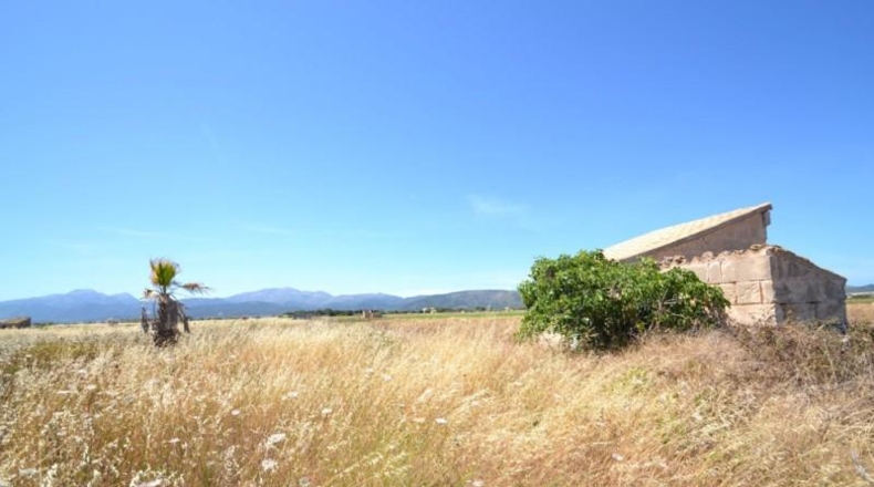 Islas Baleares - Muro - 17915m2