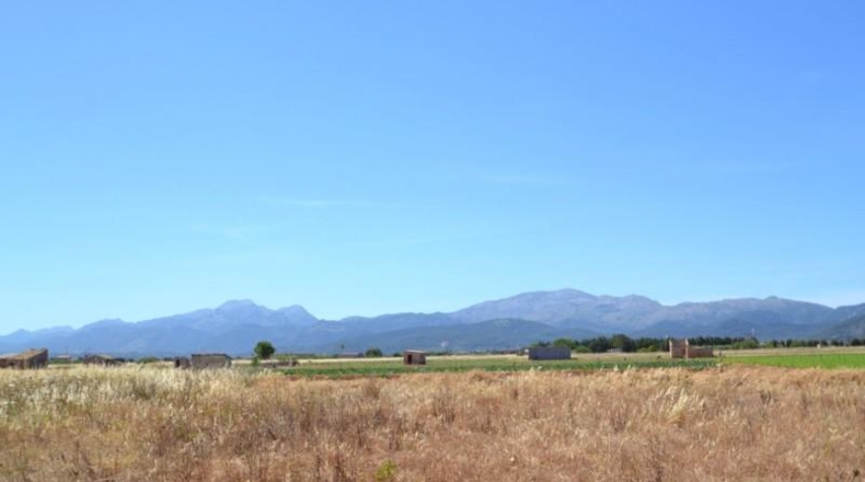 Islas Baleares - Muro - 17915m2