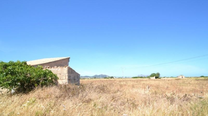 Islas Baleares - Muro - 17915m2