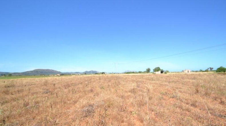 Islas Baleares - Muro - 17915m2