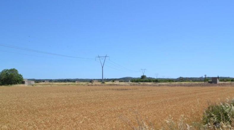 Islas Baleares - Muro - 17915m2
