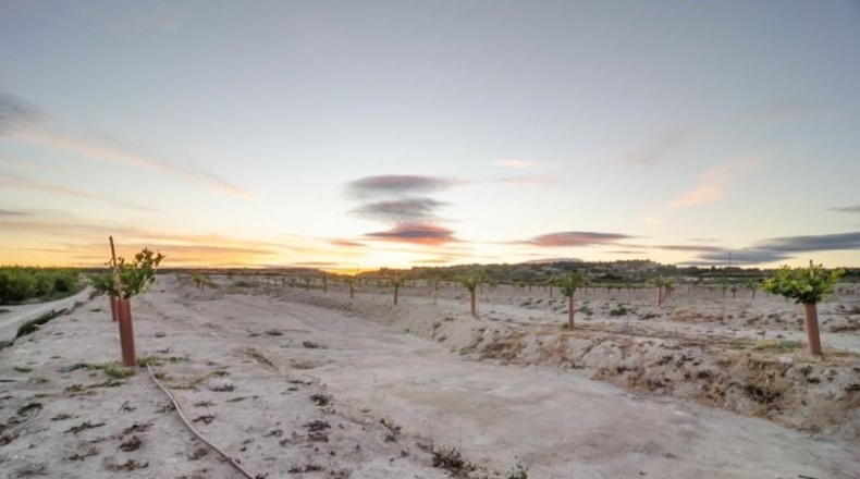 Murcia - Абанилья - 26300m2