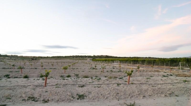 Murcia - Абанилья - 26300m2