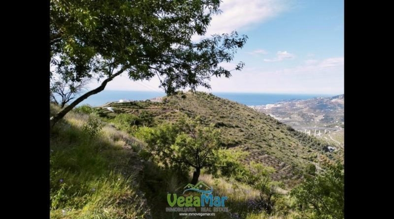 Granada - Almuñécar - 5000m2