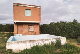 Foto 14