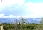 Chalet independiente con terreno en venta en la España, Llubí, ref: TR199003 foto