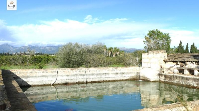 Islas Baleares - Llubí - 7500m2