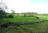 Chalet independiente con terreno en venta en la España, Llubí, ref: TR199003 foto