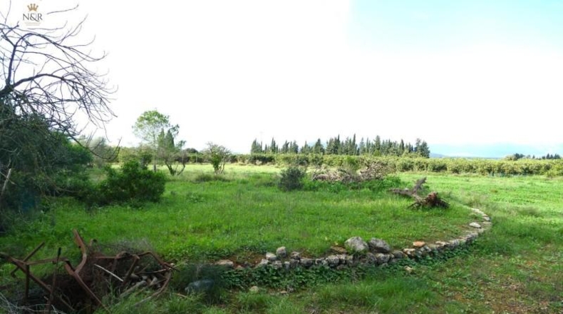 Islas Baleares - Llubí - 7500m2
