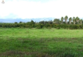 Chalet independiente con terreno en venta en la España, Llubí, ref: TR199003 foto