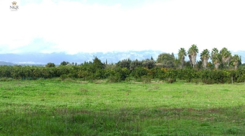 Islas Baleares - Llubí - 7500m2