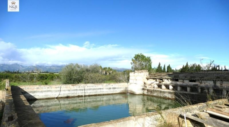 Islas Baleares - Llubí - 7500m2