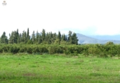 Chalet independiente con terreno en venta en la España, Llubí, ref: TR199003 foto