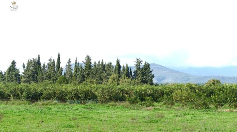 Islas Baleares - Llubí - 7500m2